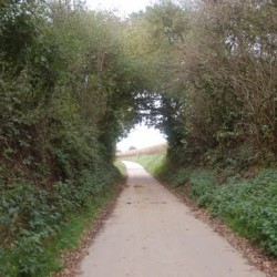 DSC 0537 - Sportraad Zaventem 